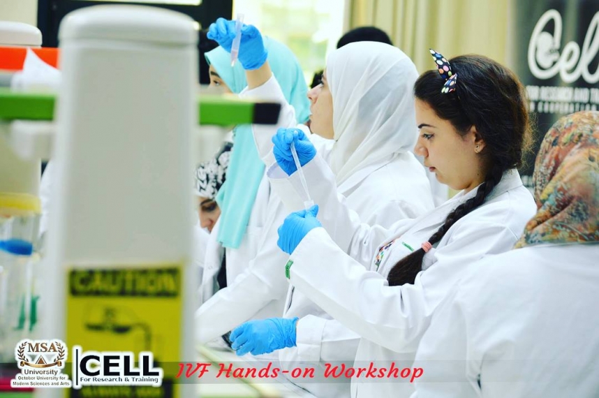 The 2nd Stem Cell Hands-on Workshop