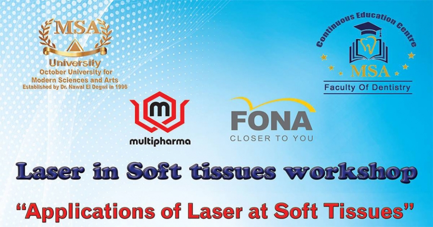 Laser in Soft Tissues Workshop