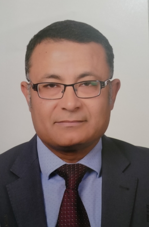Assistant professor Hossam ElDin Mostafa Mohamed