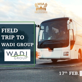 Field Trip to Wadi Group