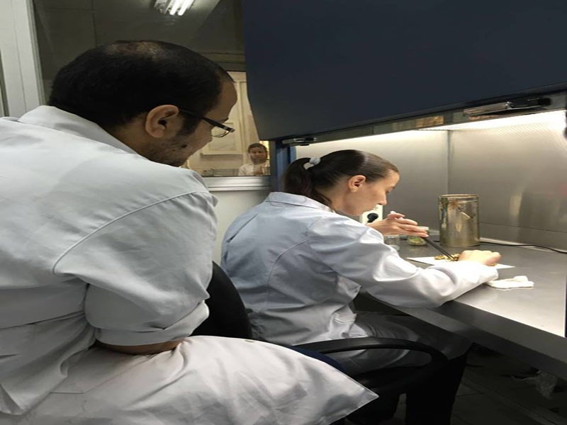 Biotechnology students in Researches complex and tissues plantation lab for the summer training