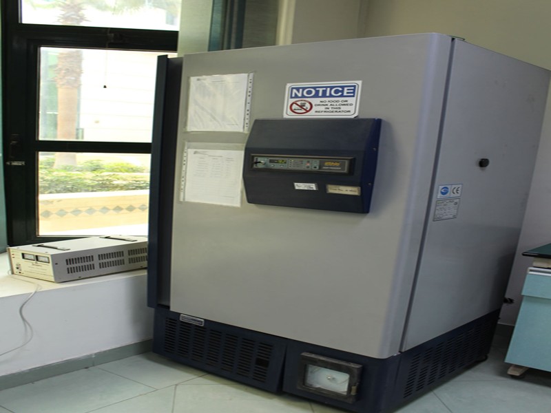 Deep frezzer -80oC: 
	Frozen medical laboratories Deep freezer plasma storage.