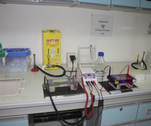 MSA University -Central Laboratory for Research