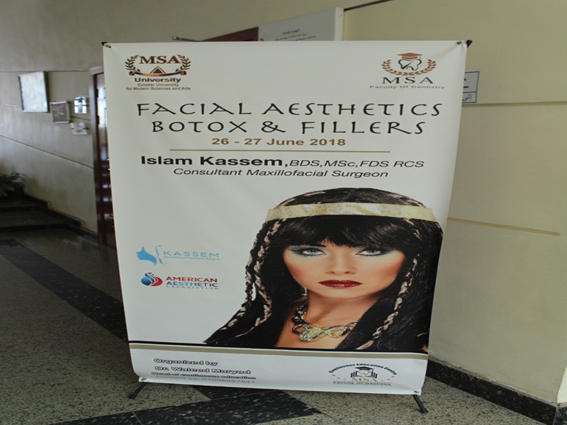 The Facial Aesthetics Workshop