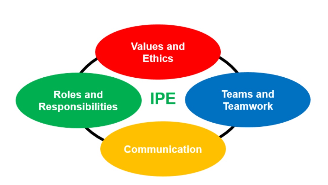 MSA University - The core competencies for IPE