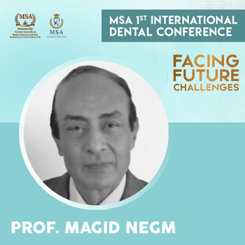 Prof. Maged Negm