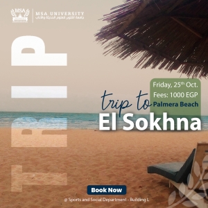 Palmera Beach, Ain Sokhna