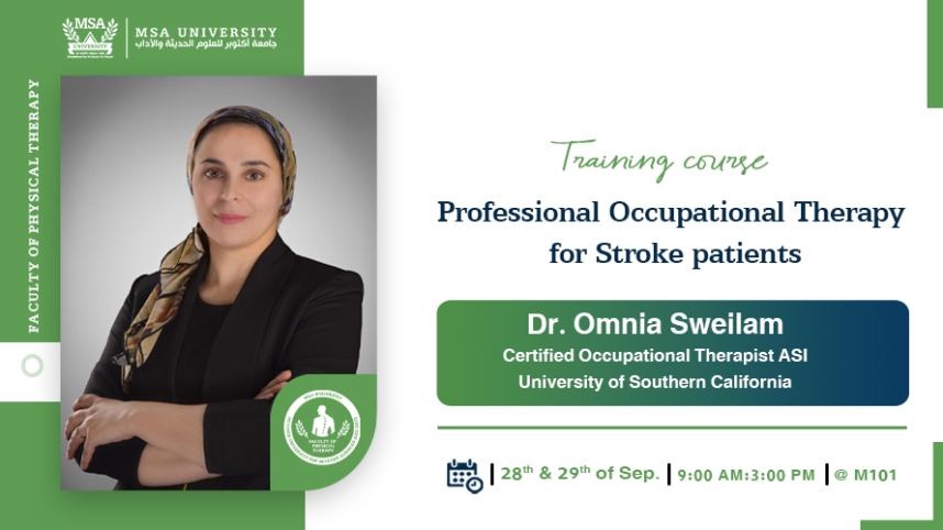 Exclusive Training Course: Professional Occupational Therapy for Stroke Patients