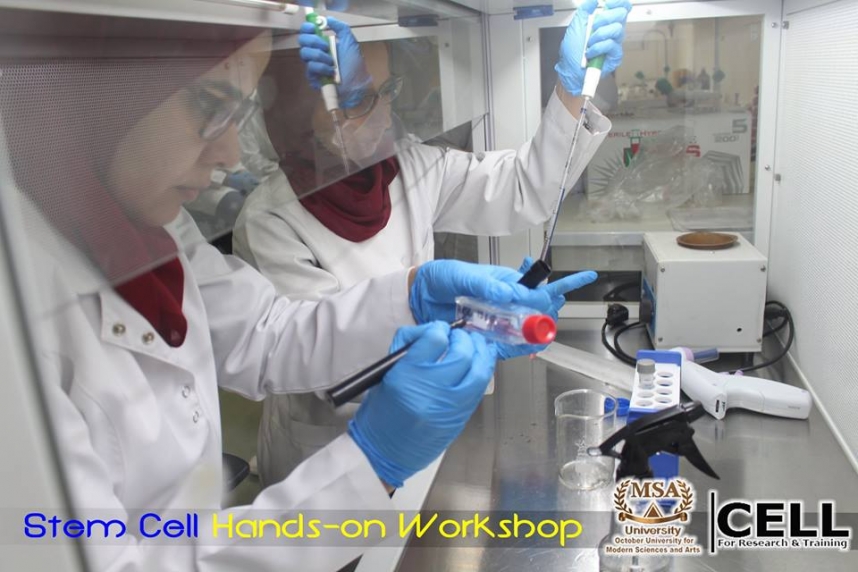 The 3rd Stem Cell Hands on Workshop