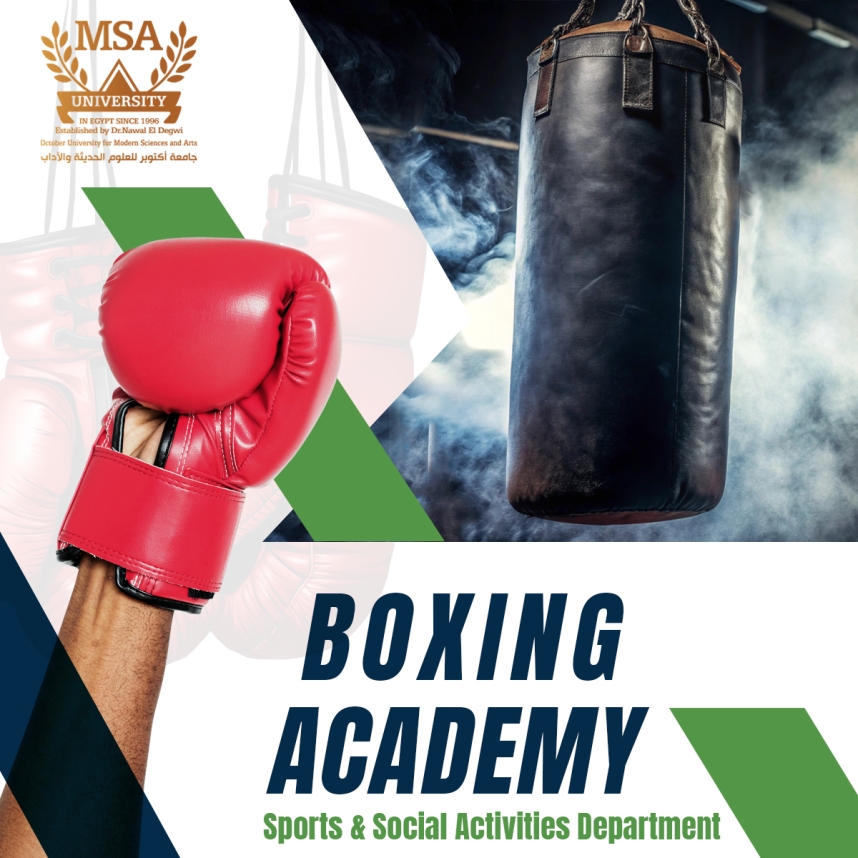 Boxing and Kickboxing