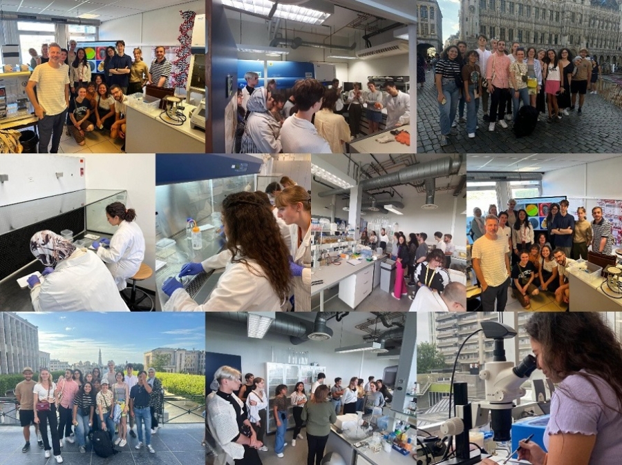 The Biotech in Brussels: Where Biology meets Technology – Summer School