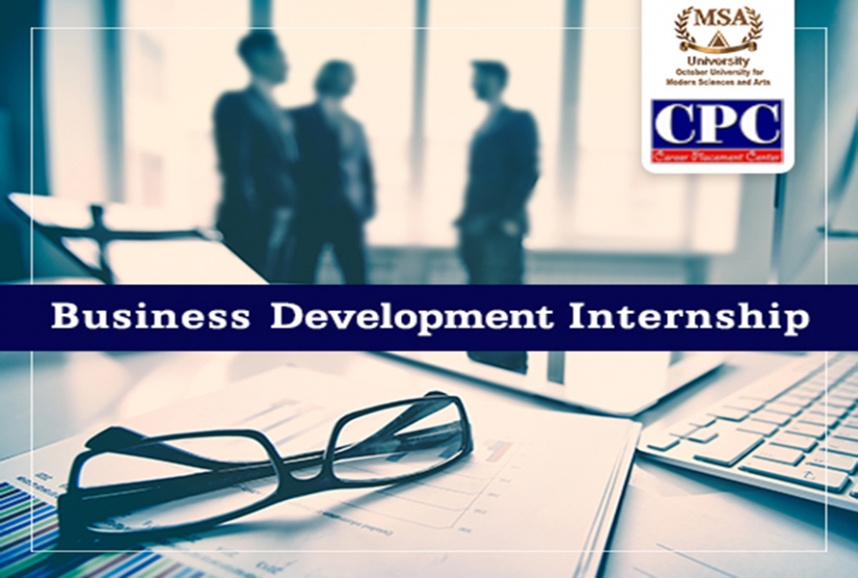 Business Development Internship