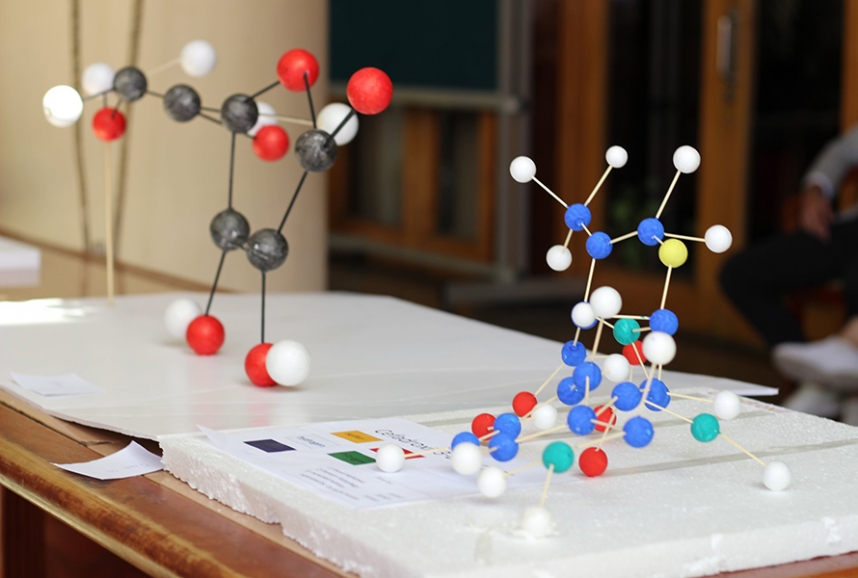 Organic Chemistry fair in collaboration with pharmacognosy department