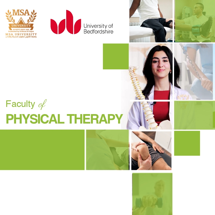 physical therapy