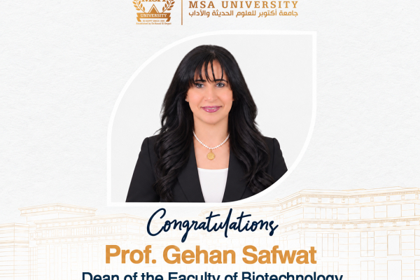 prof gehan safwat